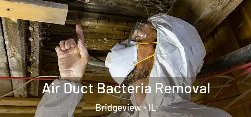  Air Duct Bacteria Removal Bridgeview - IL