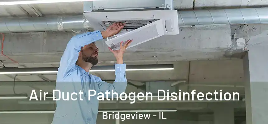  Air Duct Pathogen Disinfection Bridgeview - IL