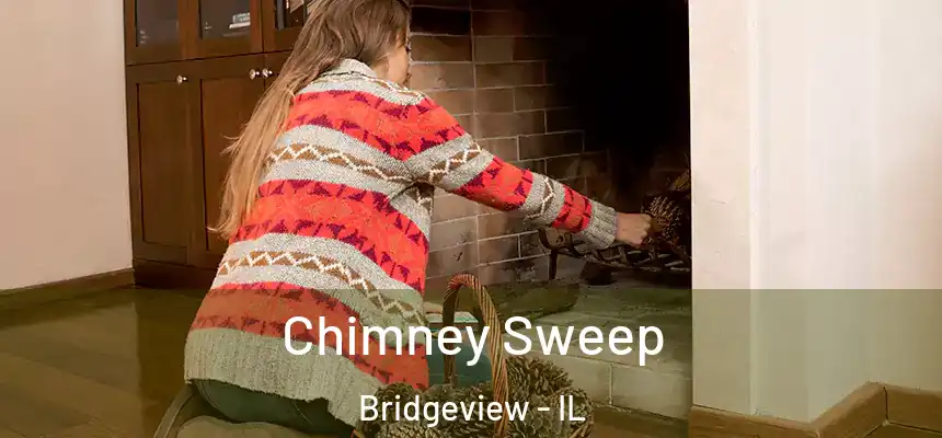 Chimney Sweep Bridgeview - IL