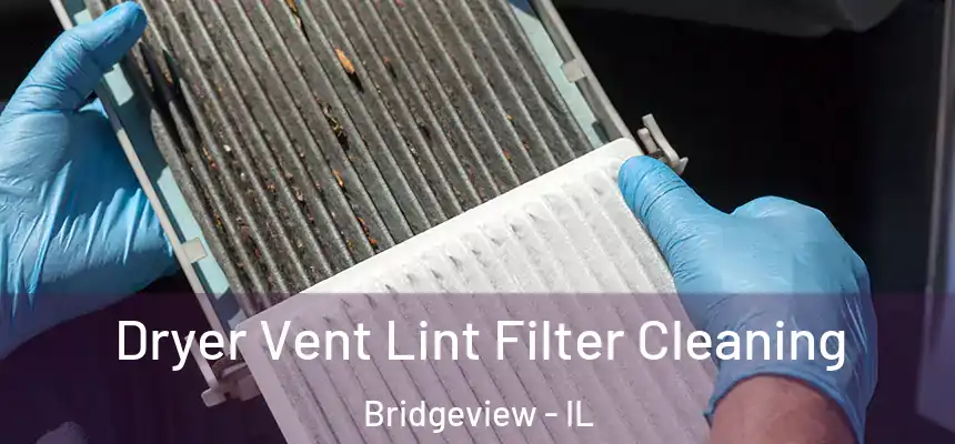 Dryer Vent Lint Filter Cleaning Bridgeview - IL