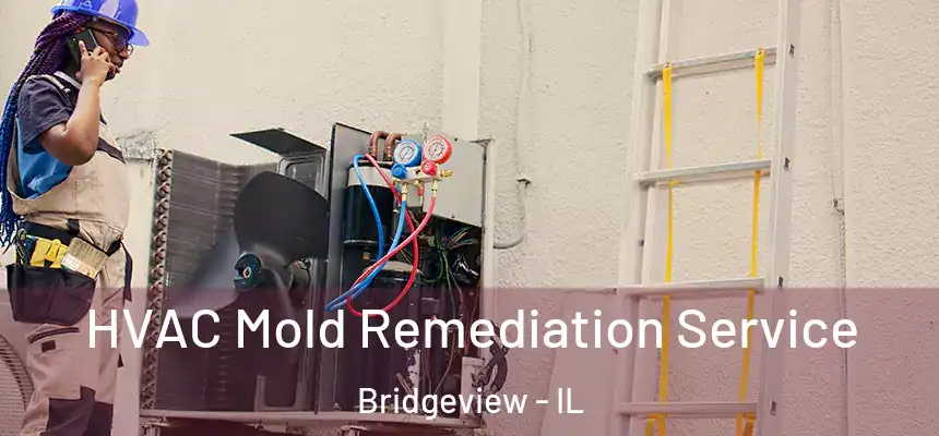 HVAC Mold Remediation Service Bridgeview - IL