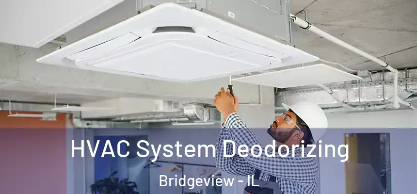 HVAC System Deodorizing Bridgeview - IL
