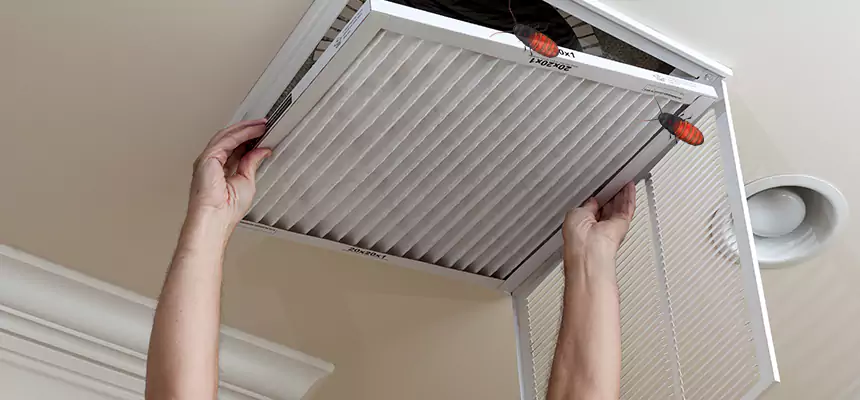 Preventive Cockroach-Proofing for Ducts in Bridgeview