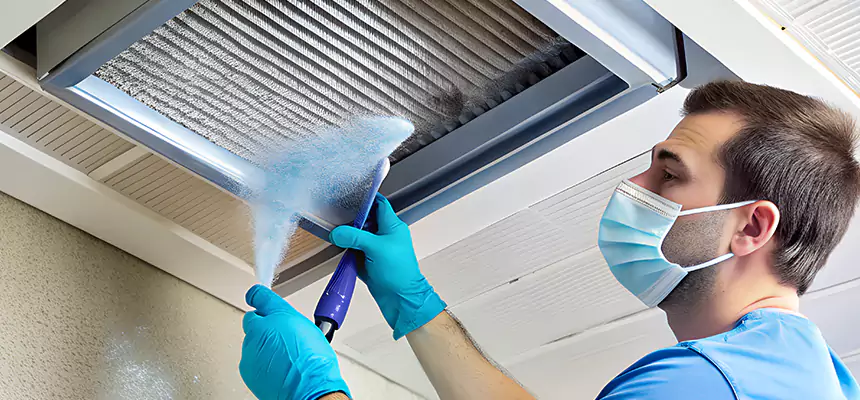 Proactive Dryer Vent & Auxiliary Duct Pollen Cleanup in Bridgeview, IL
