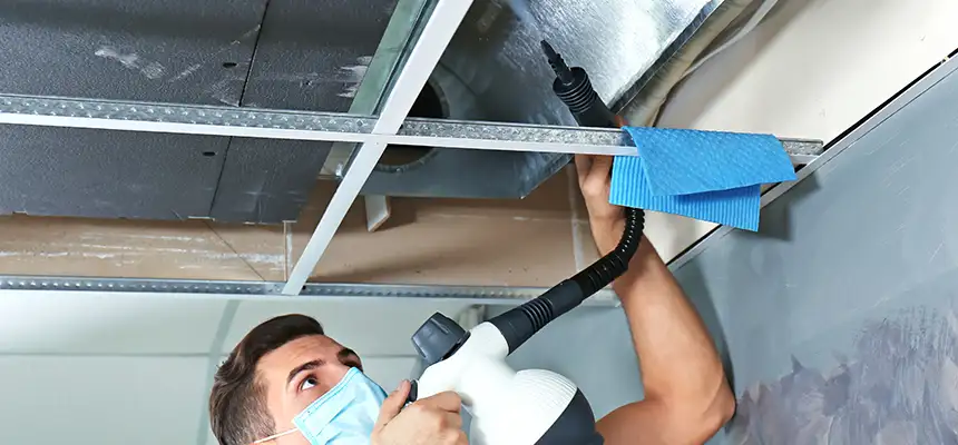 Our Air Duct Rodent Removal Services in Bridgeview, IL