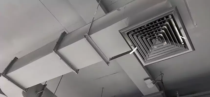 Restorative Allergy Relief Vent Cleaning – Coil, Blower & Housing Detail in Bridgeview