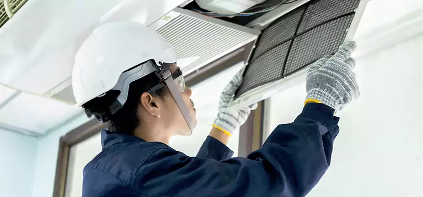 Our Mold & Mildew Removal from Air Ducts Services in Bridgeview, IL