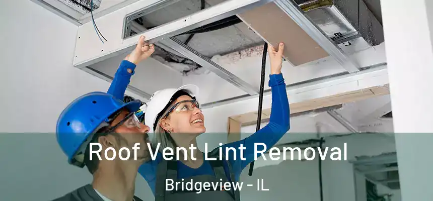 Roof Vent Lint Removal Bridgeview - IL
