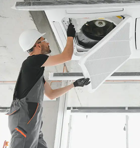 About Air Duct Rodent Removal in Bridgeview, IL