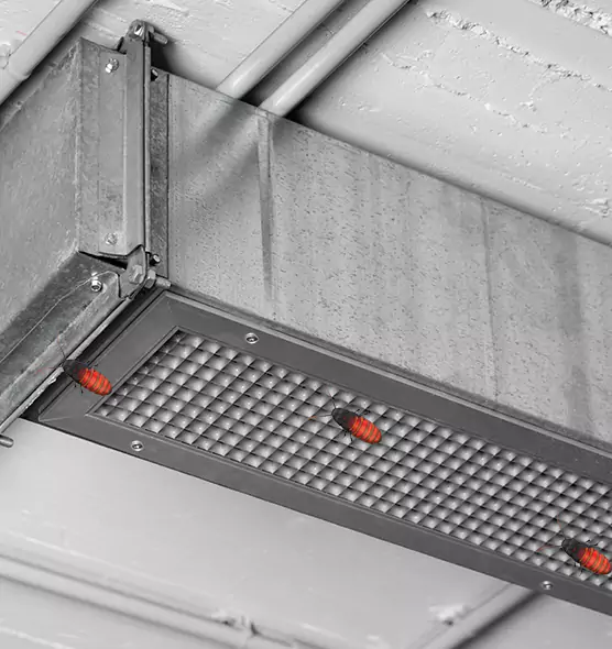 Affordable Insect Removal from Air Ducts in Bridgeview, IL
