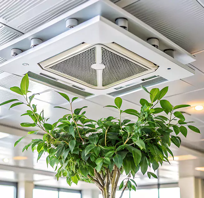 Why Homeowners & Businesses Trust Us in Bridgeview, IL?