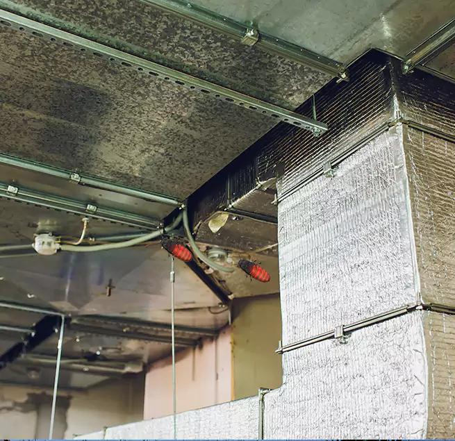 Why Homeowners & Businesses Trust Us Bridgeview, IL?